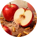 Serena Flow - Apple Fiber (Prebiotic Support)