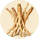 Serena Flow - Ashwagandha Root