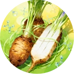 Serena Flow - Chicory Root (Prebiotic Compound)