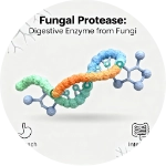 Serena Flow - Fungal Protease: (Digestive Enzyme)