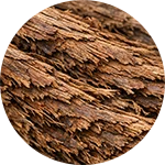 EreForce - Catuaba bark