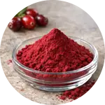 Cranberry Extract - Ingredient