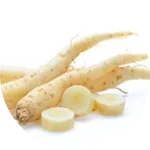 Ginseng Extract