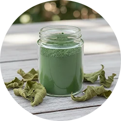 Ingredient - Bushu Leaf Powder