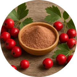 Ingredient - Hawthorn Berry Powder