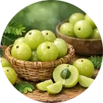 Amla (Indian Gooseberry)