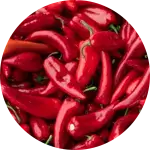 Andalusian Red Pepper