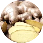 Himalayan Mountain Ginger