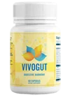 VivoGut Bottle - Gut Health Supplement | VivoGut Review